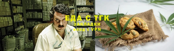 эйфоретик Вяземский