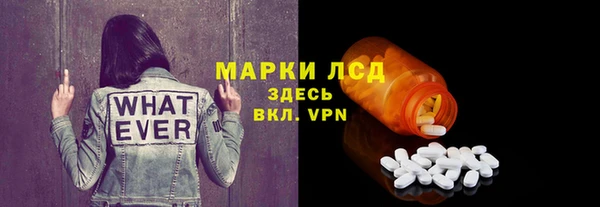 эйфоретик Вяземский