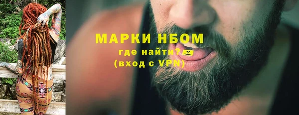эйфоретик Вяземский