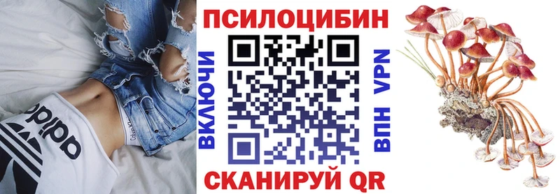 Галлюциногенные грибы GOLDEN TEACHER  Находка 