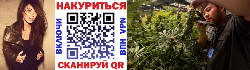 купить наркотик  Находка  Шишки марихуана марихуана 